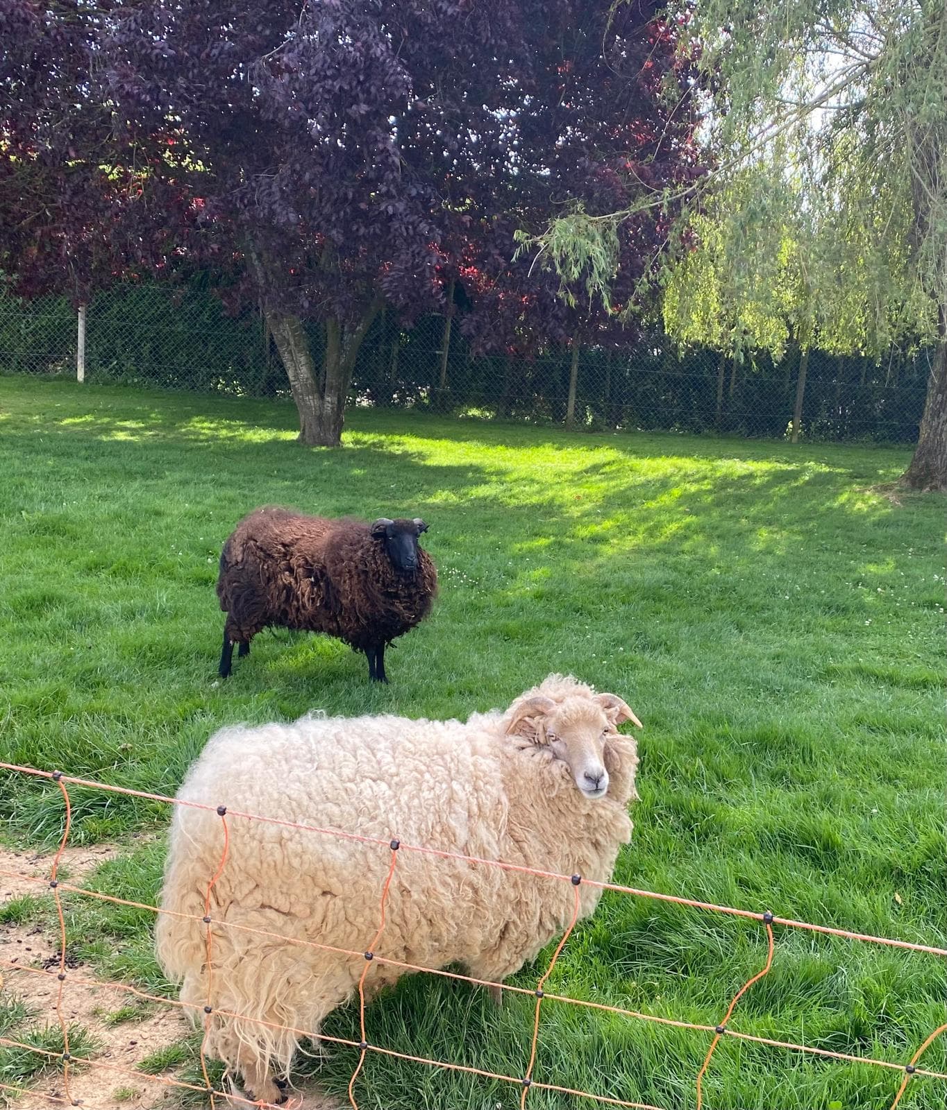 Entretien de l'habitat